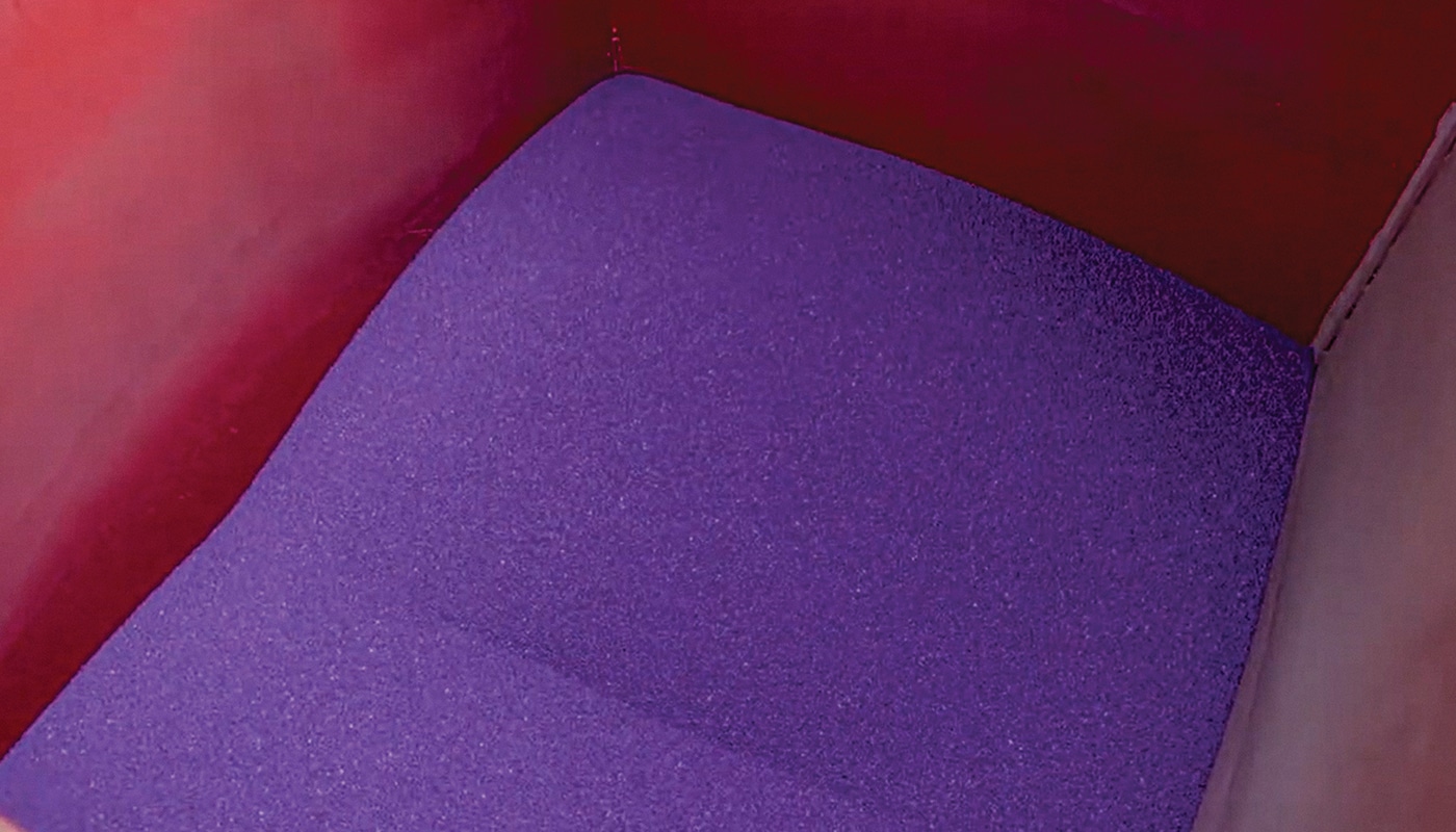 Treated purple alfalfa seed in a hopper